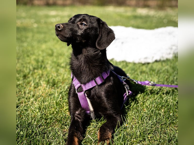 Mikana möchte mit Dir die Welt entdecken