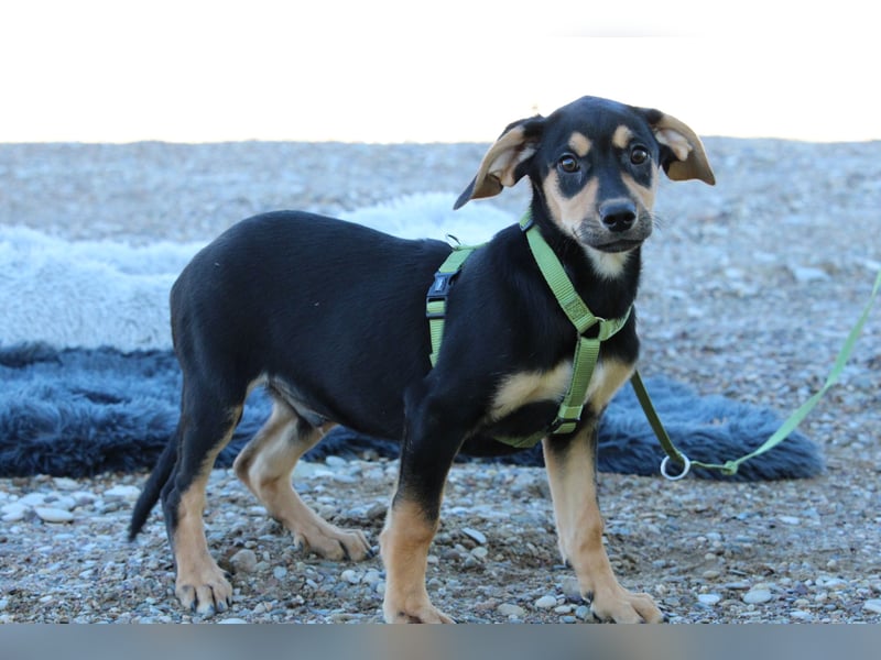 Alani such seine Herzensmenschen...