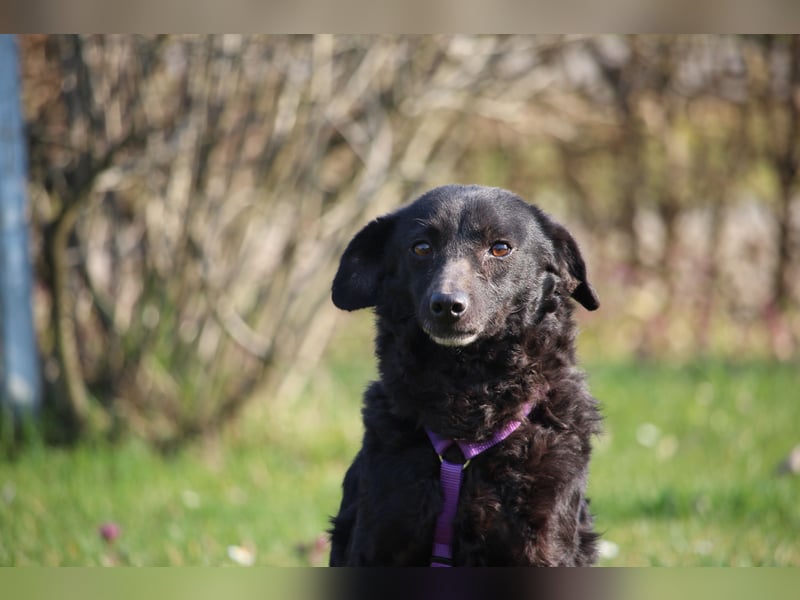 Nika hat endlose Liebe zu verschenken!