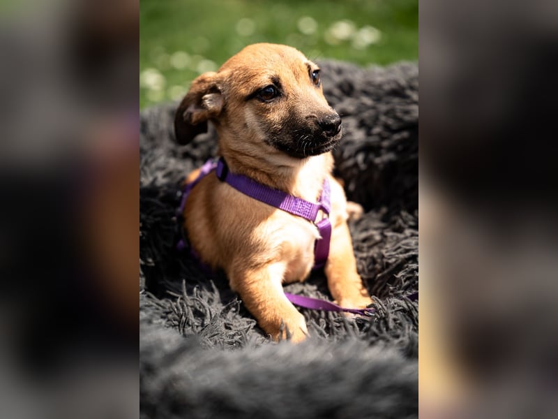 Wendy unsere kleine sensible...