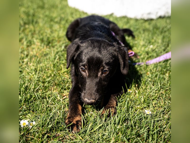 Mikana möchte mit Dir die Welt entdecken