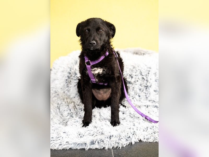 Hallo, ich bin die hübsche Sembra...