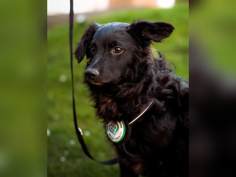 Ace such seine Herzensmenschen...