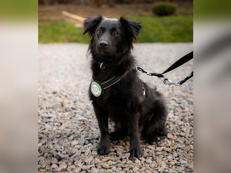 Leilani möchte ihr Herz verschenken...