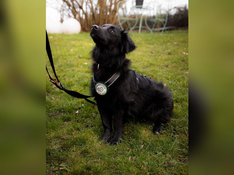 Leilani möchte ihr Herz verschenken...