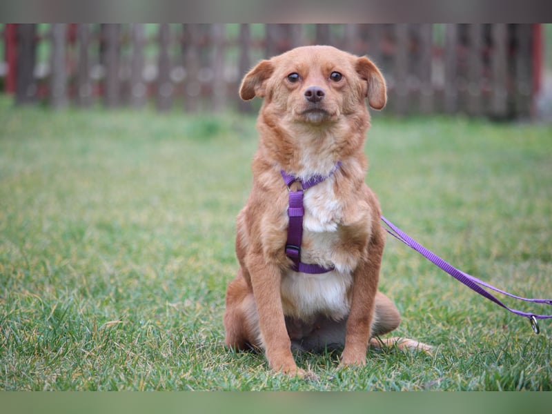 Luminara  unsere kleine sensible...