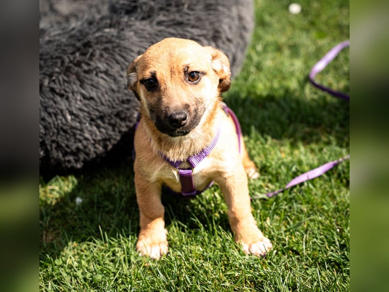 Wendy unsere kleine sensible...