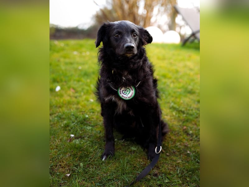 Ace such seine Herzensmenschen...