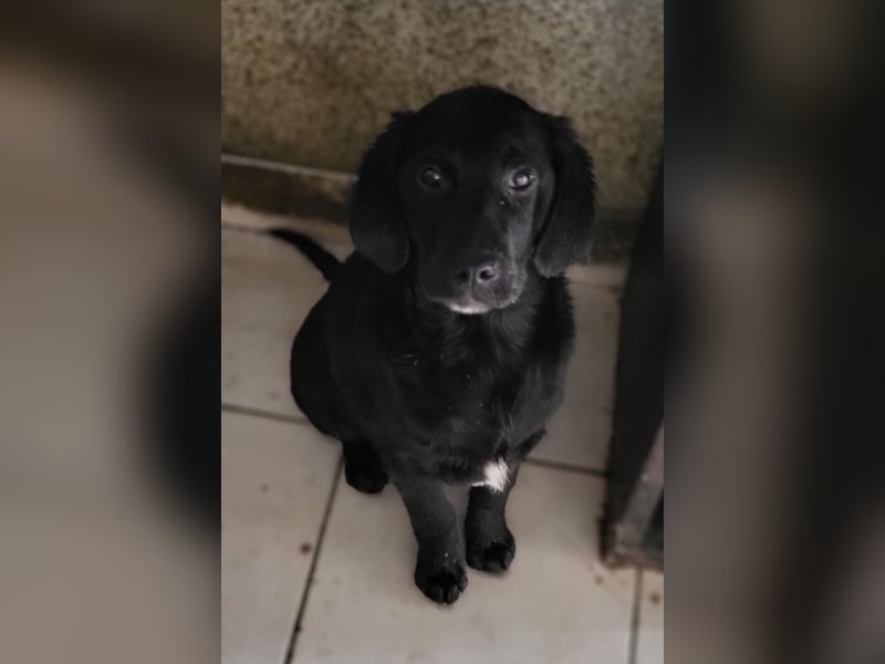 Haru ❤️ so lieber, aufgeschlossener Bub!