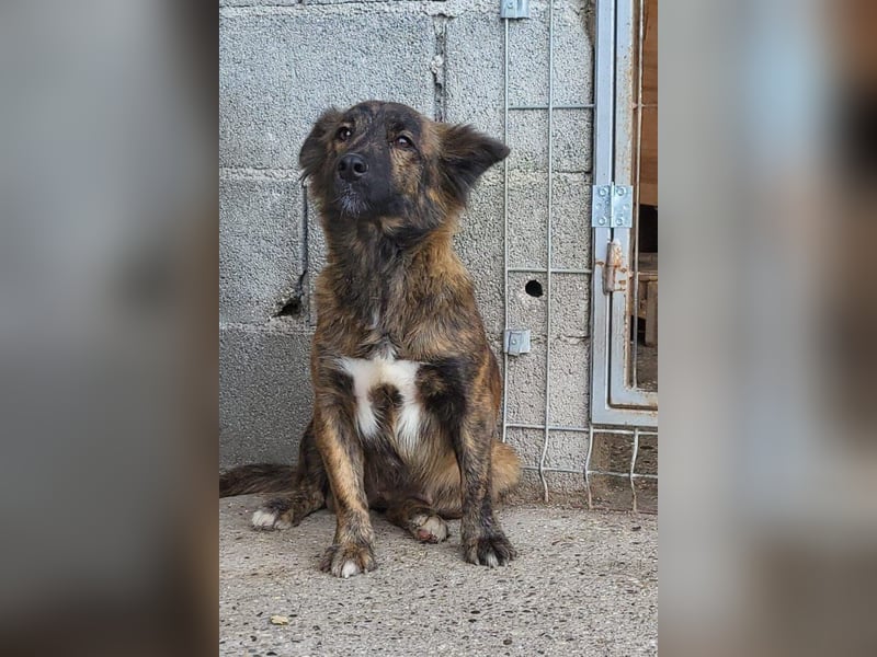 JULE❤️sanft, liebevoll und voller Zuneigung & Liebe