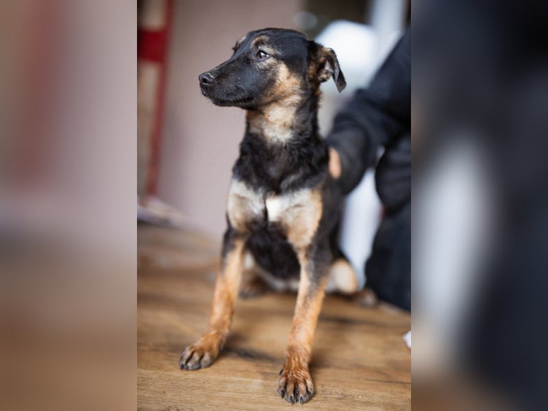 Liebste junge ♥Luna♥ erobert jedes Herz