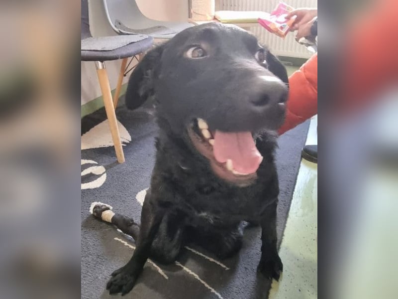 Floyd ❤️ liebenswerter, tapferer Kämpfer Floyd ❤️ liebenswerter, tapferer Kämpfer