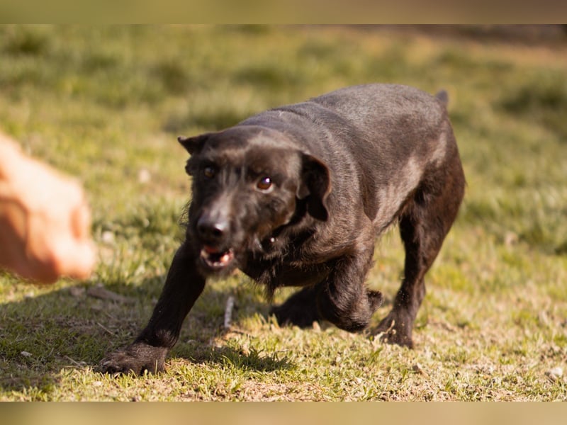 Fröhliche, kleine Greta zart, aber aktiv