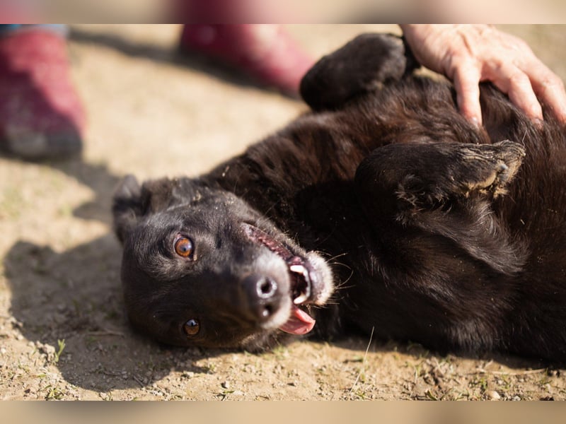 Süßer ♥Pili Mili♥ kleiner Tempo-Lausbub