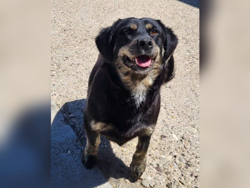 Junge Aimi sucht ihr großes Glück