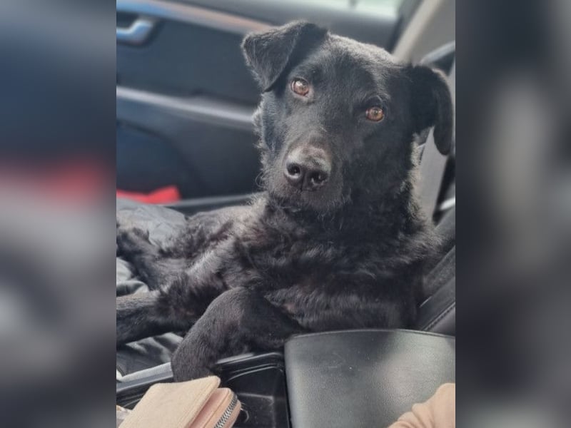 Floyd ❤️ liebenswerter, tapferer Kämpfer