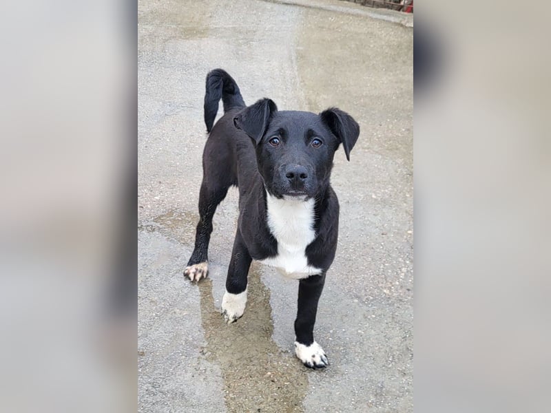 ♥Julius♥ junger Entdeckerbub sucht dich