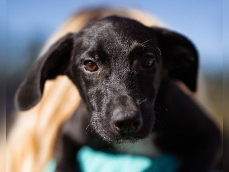 Paula ❤️ liebe, aktive, junge Zuckermaus!