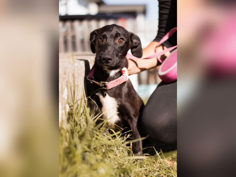 Paula ❤️ liebe, aktive, junge Zuckermaus!