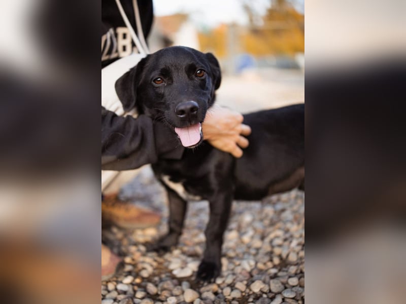 Ivan ❤️ super lieber, so verspielter Bub