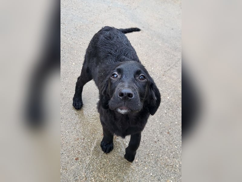 Haru ❤️ so lieber, aufgeschlossener Bub!