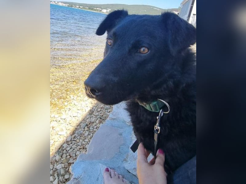 Floyd ❤️ liebenswerter, tapferer Kämpfer