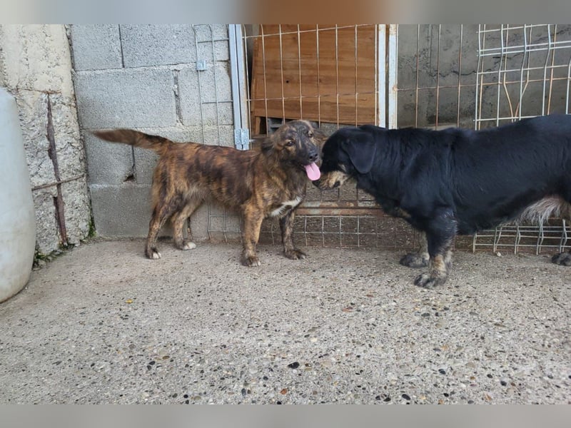 JULE❤️sanft, liebevoll und voller Zuneigung & Liebe