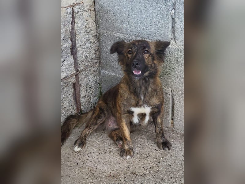 JULE❤️sanft, liebevoll und voller Zuneigung & Liebe