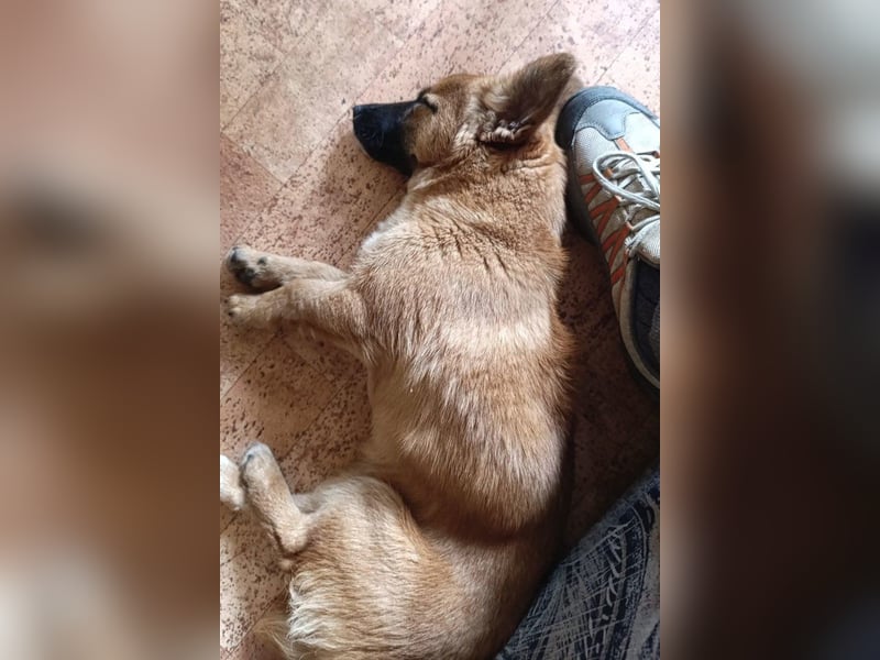 Süße kleine ♥Mihajela♥ sucht so sehr Geborgenheit