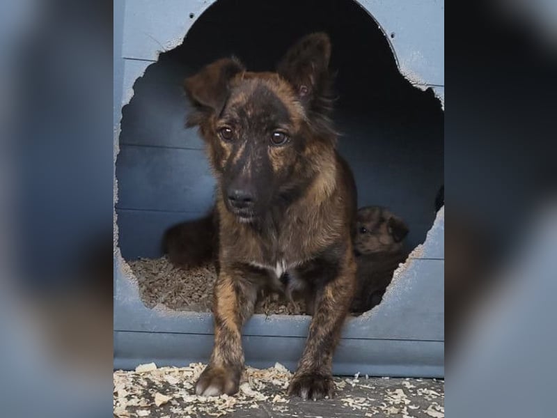 JULE❤️sanft, liebevoll und voller Zuneigung & Liebe