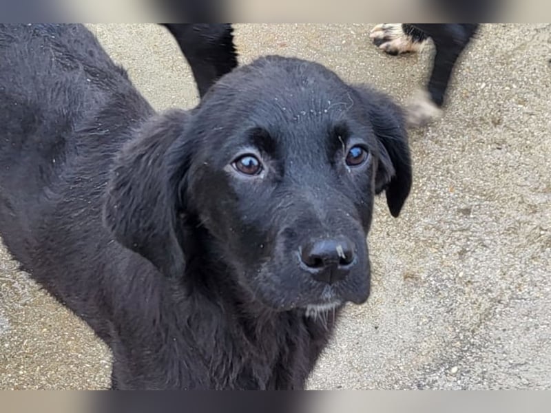 Haru ❤️ so lieber, aufgeschlossener Bub!