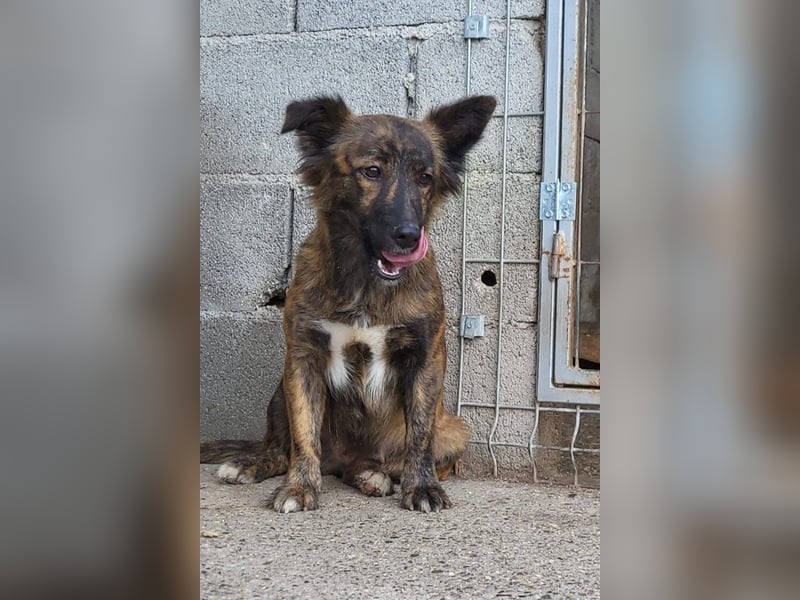 JULE❤️sanft, liebevoll und voller Zuneigung & Liebe