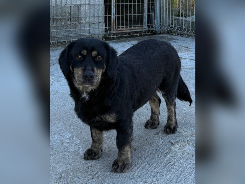 Junge Aimi sucht ihr großes Glück