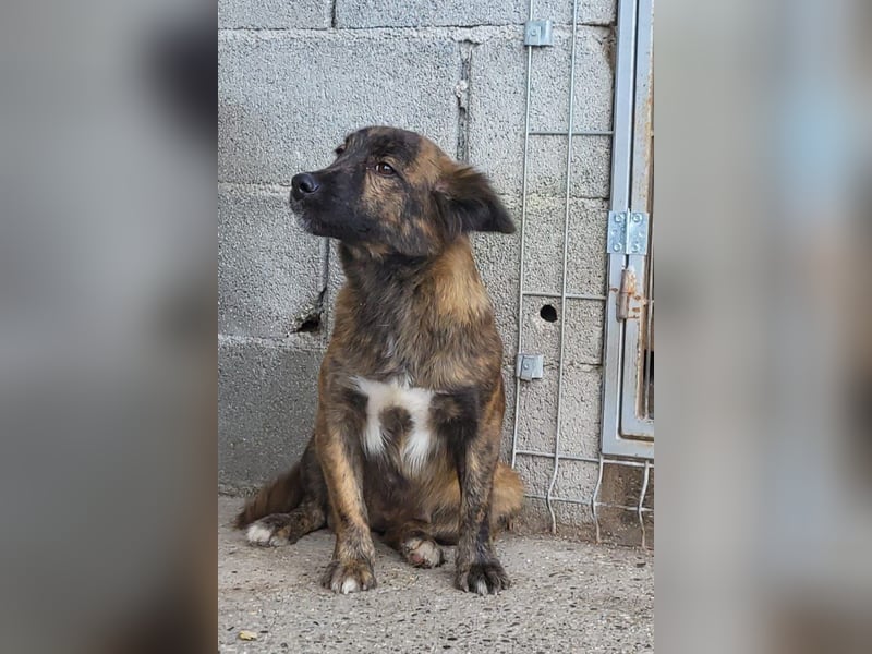 JULE❤️sanft, liebevoll und voller Zuneigung & Liebe