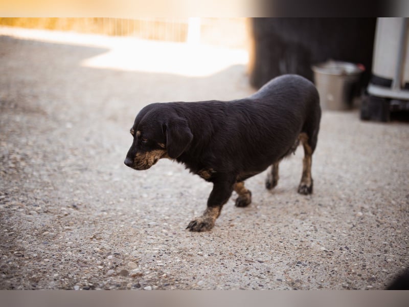 Junge Aimi sucht ihr großes Glück