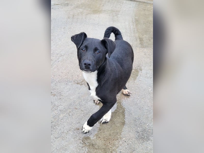 ♥ Julius ♥ junger Entdeckerbub sucht dich