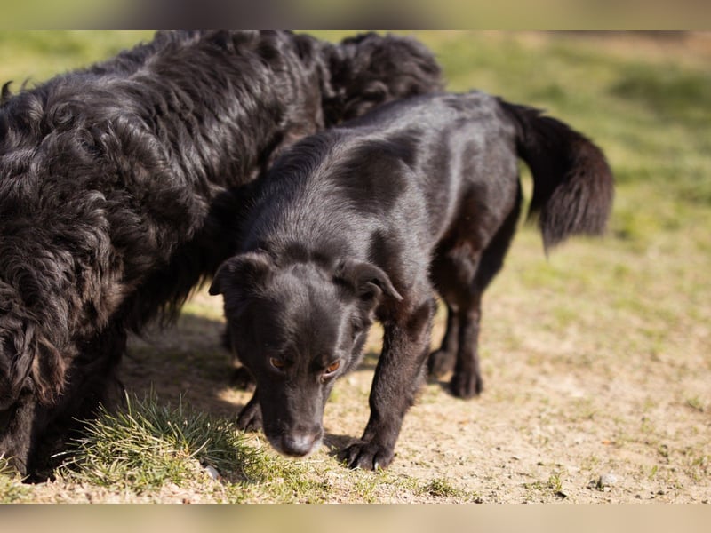 Süßer ♥Pili Mili♥ kleiner Tempo-Lausbub