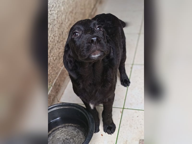 Haru ❤️ so lieber, aufgeschlossener Bub!