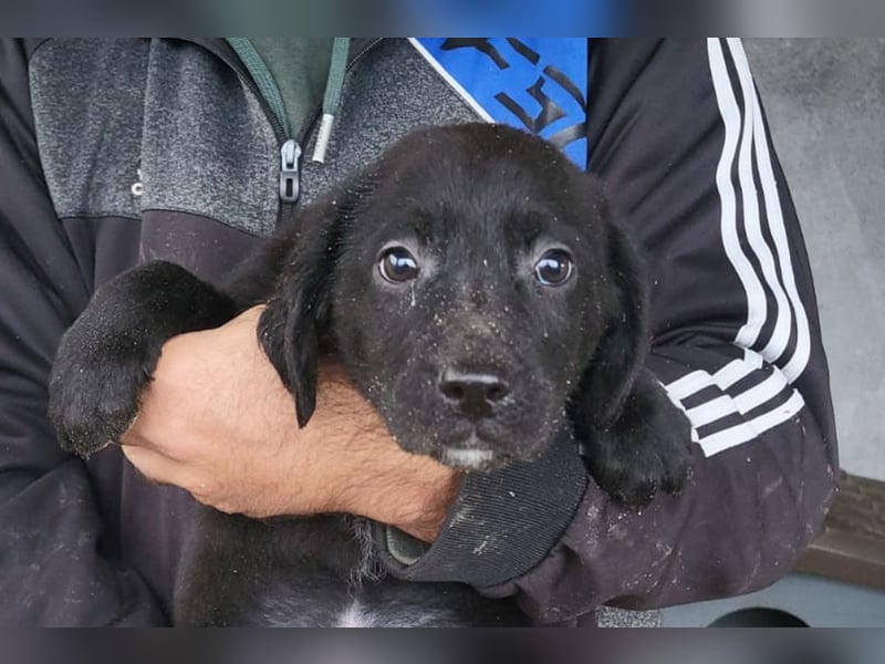 Haru ❤️ so lieber, aufgeschlossener Bub!