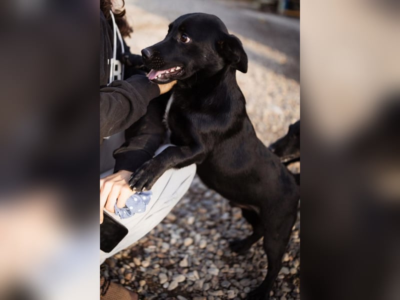 Ivan ❤️ super lieber, so verspielter Bub