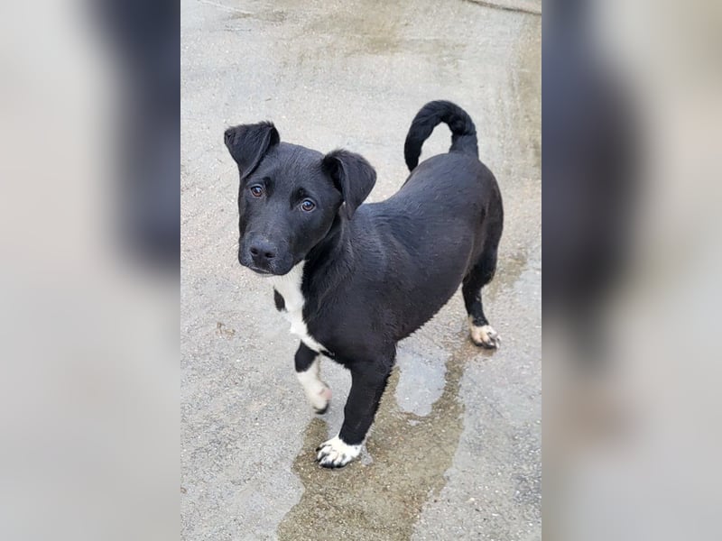 ♥ Julius ♥ junger Entdeckerbub sucht dich