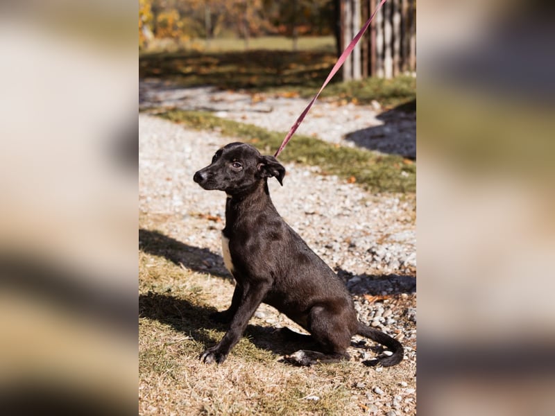 Paula ❤️ liebe, aktive, junge Zuckermaus!