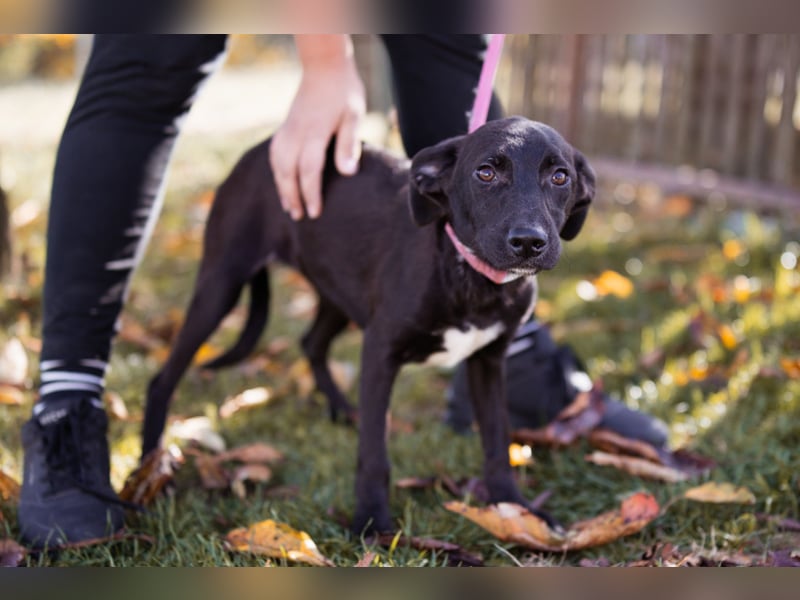 Paula ❤️ liebe, aktive, junge Zuckermaus!