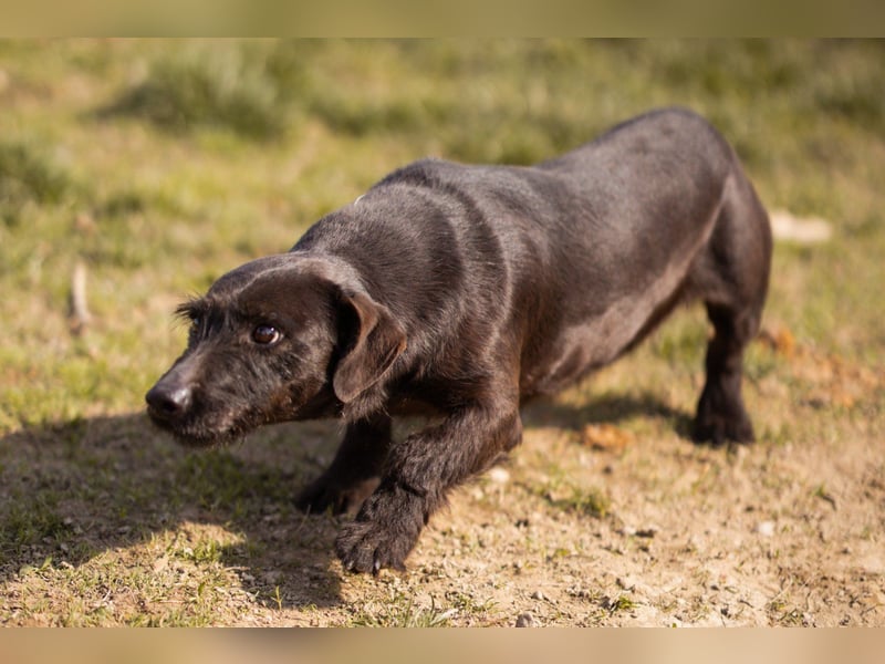 Fröhliche, kleine Greta zart, aber aktiv