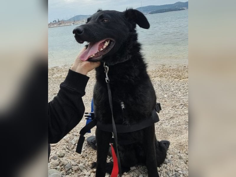 Floyd ❤️ liebenswerter, tapferer Kämpfer Floyd ❤️ liebenswerter, tapferer Kämpfer