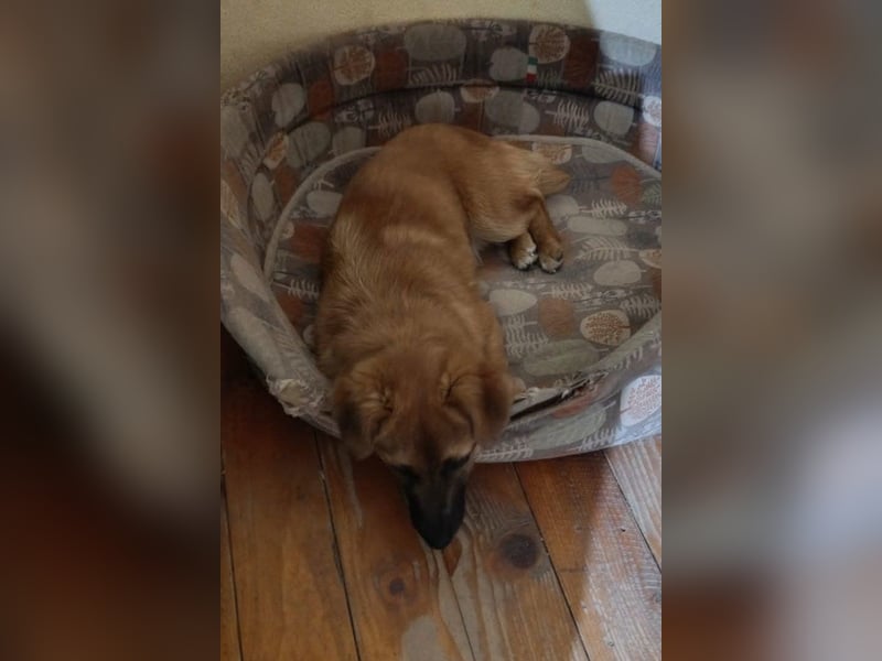 Süße kleine ♥Mihajela♥ sucht so sehr Geborgenheit