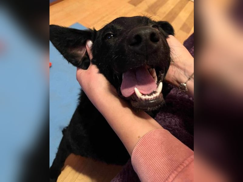 Floyd ❤️ liebenswerter, tapferer Kämpfer