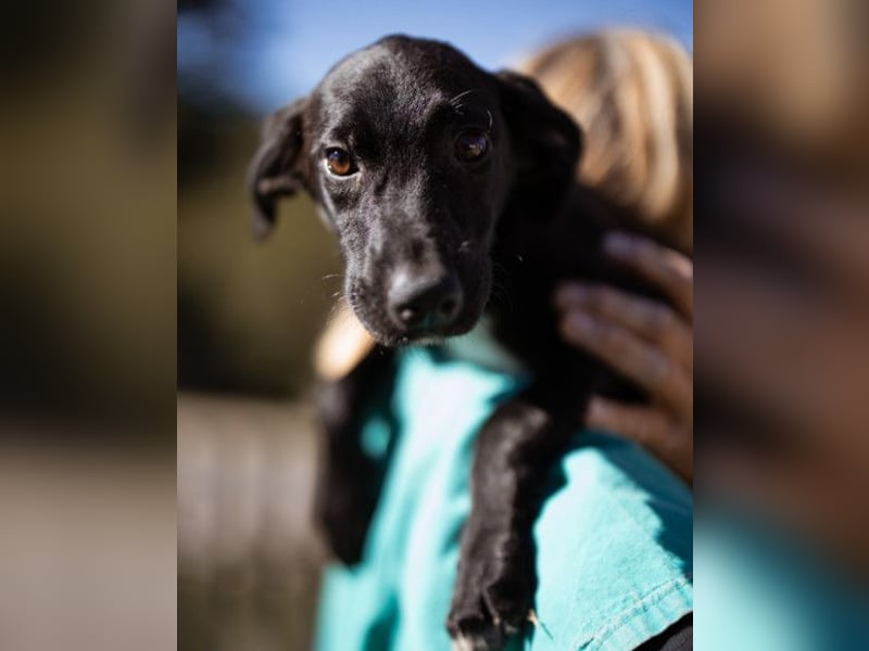 Paula ❤️ liebe, aktive, junge Zuckermaus!