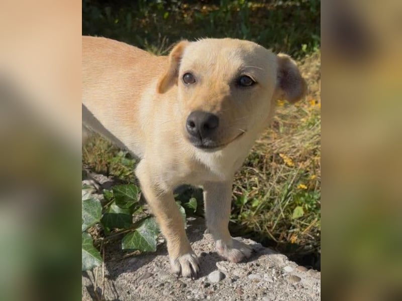 Mira ❤️ fröhlicher, lieber Sonnenschein! Mira ❤️ fröhlicher, lieber Sonnenschein!