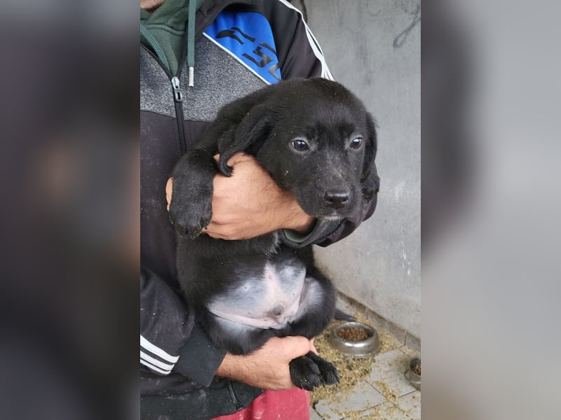 Haru ❤️ so lieber, aufgeschlossener Bub!